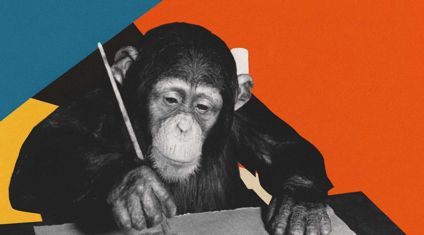 L’incroyable histoire du singe peintre qui a conquis le cœur de Picasso, Miro et Dali