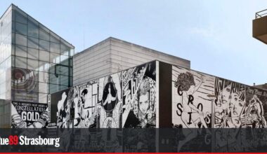 Trois idées d'expositions pour rester au sec en août à Strasbourg
