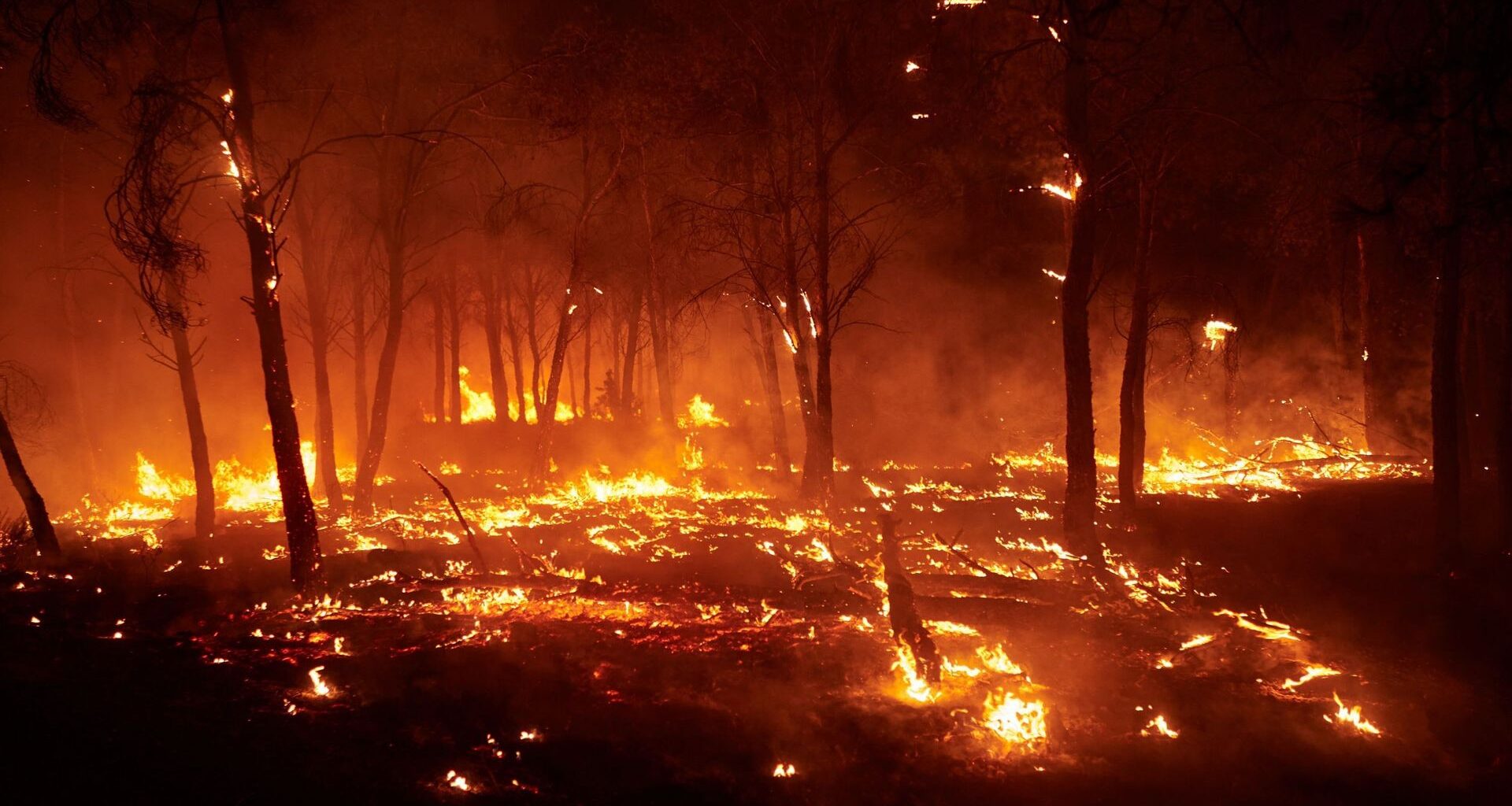L’Espagne demande l’aide de l’UE pour combattre les feux de forêts