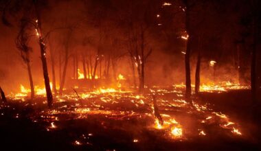 L’Espagne demande l’aide de l’UE pour combattre les feux de forêts