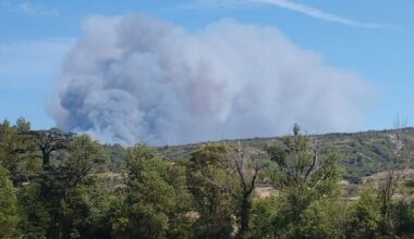un incendie très virulent est en cours, 1000 hectares déjà parcourus en 2 heures !
