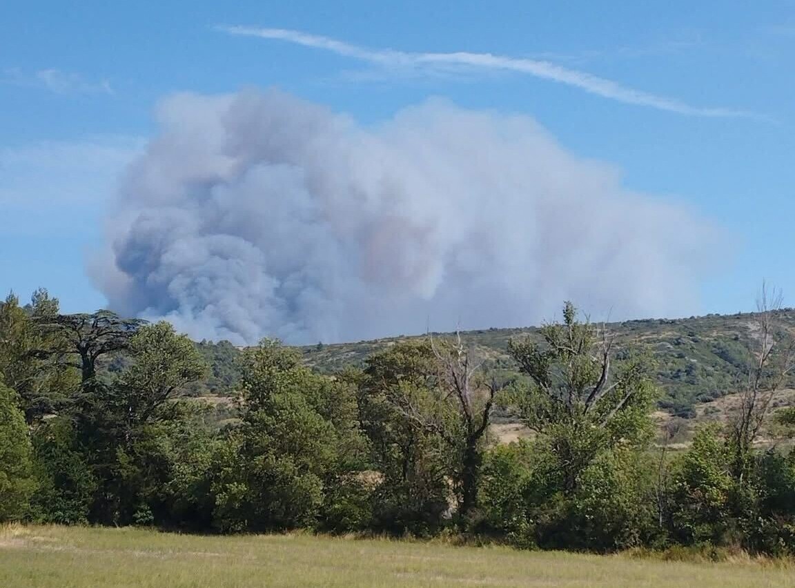 un incendie très virulent est en cours, 1000 hectares déjà parcourus en 2 heures !
