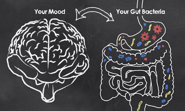 Illustration à la craie montrant des flèches doubles entre cerveau et intestin, peuplés de microbes