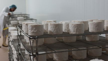 Des fromages dans une usine. Photo d'illustration. (SÉBASTIEN ROSELÉ / MAXPPP)