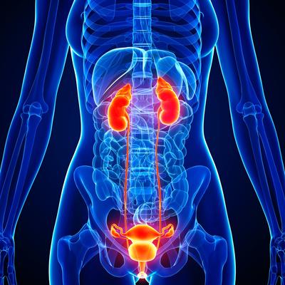 Ménopause : des symptômes persistants peuvent cacher un syndrome largement ignoré