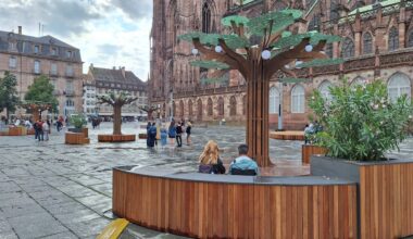 le maire de Colmar moque les arbres artificiels au pied de la cathédrale de Strasbourg