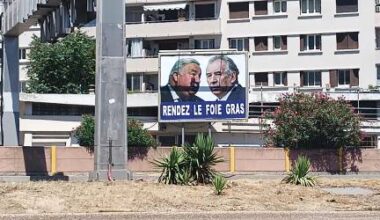 L’artiste Flori interpelle Larcher et Bayrou avec une nouvelle affiche satirique