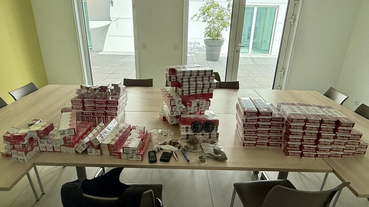 une cave cache près de 1 200 paquets de cigarettes et du cannabis