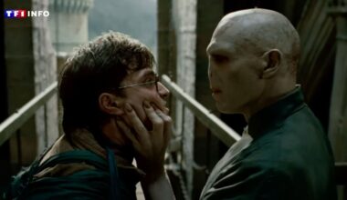 En attendant la série, "Harry Potter" fait passer à ses fans un "Grand Examen" de rentrée