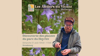 Illustration Découverte des plantes sauvages comestibles du Heyritz