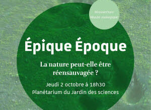 Illustration  Épique époque : La nature peut-elle être réensauvagée ?