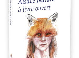 Illustration JNP - Lecture musicale du livre « Alsace Nature à livre ouvert »
