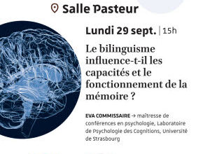 Illustration Le bilinguisme influence-t-il les capacités et le fonctionnement de la mémoire ?