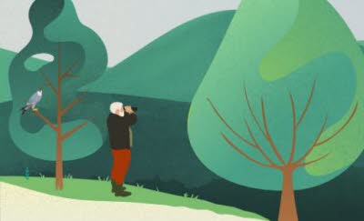 Illustration Les forêts du Rhin au nord de L’Eurométropole