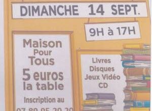 Illustration Vente de livres avec brocante
