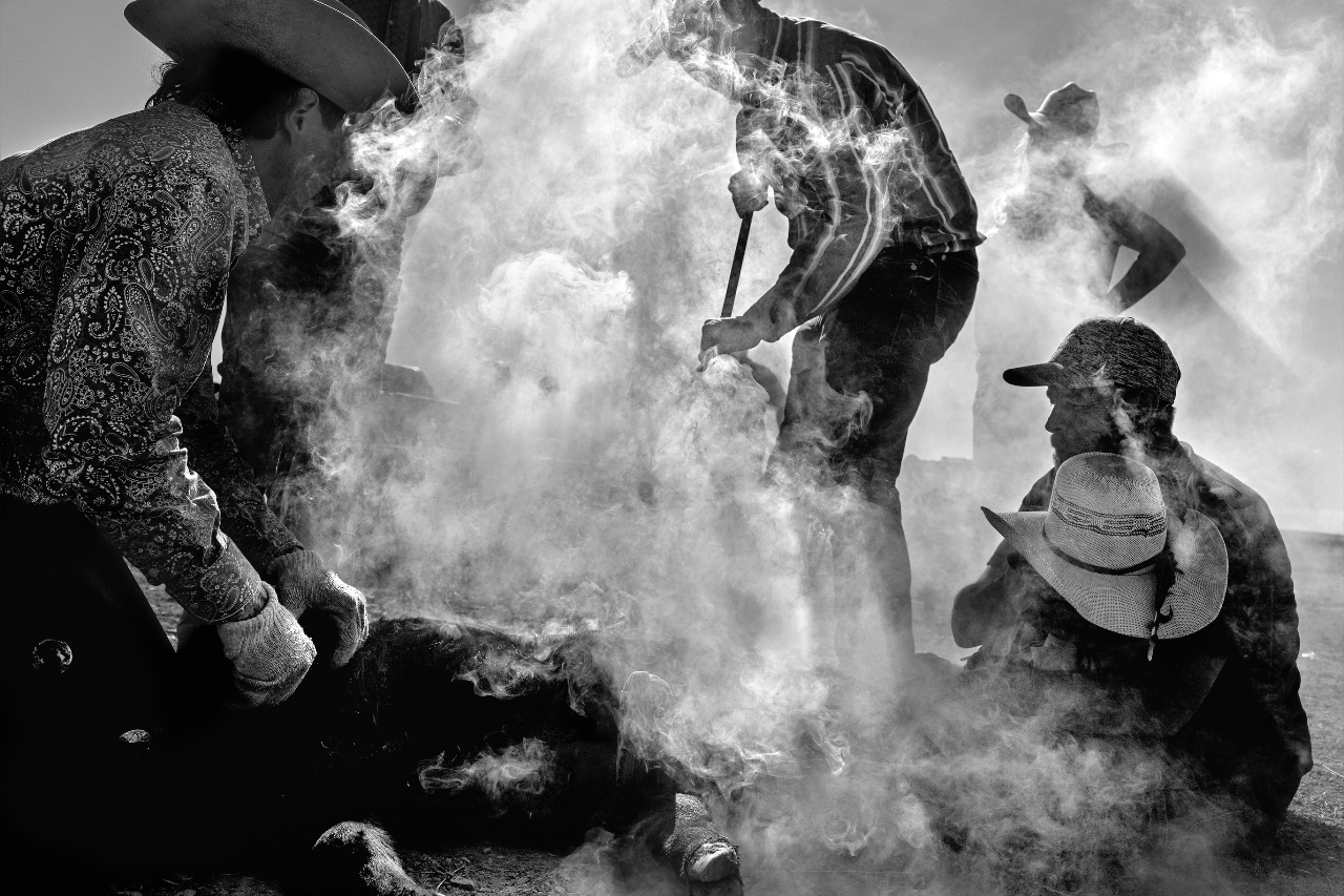 PARIS : Un projet USA 3.0 au Photoville Festival de New York