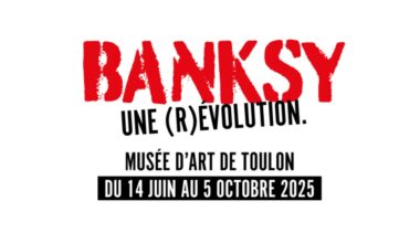 TOULON : Raccrochage des collections permanentes