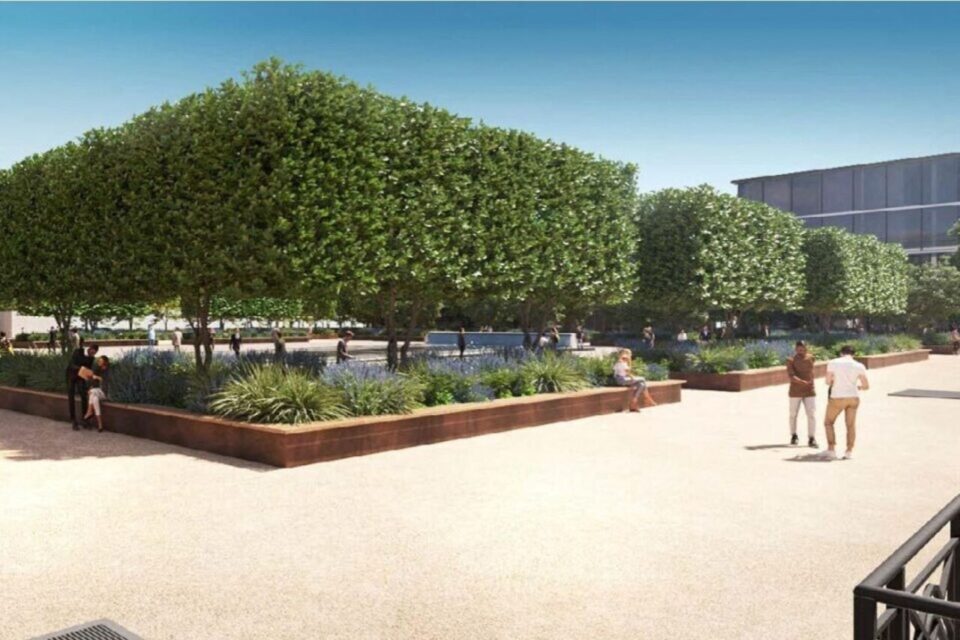 Un double alignement de charmes, plantés dans d’immenses jardinières délimitera la place de l’Europe.