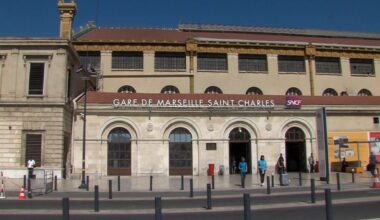 Marseille: une raie de grande taille a été ramenée au large ce matin par les marins-pompiers