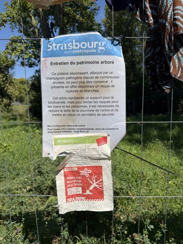 Camp du Heyritz migrants sdf