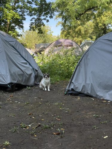 Camp du Heyritz migrants sdf