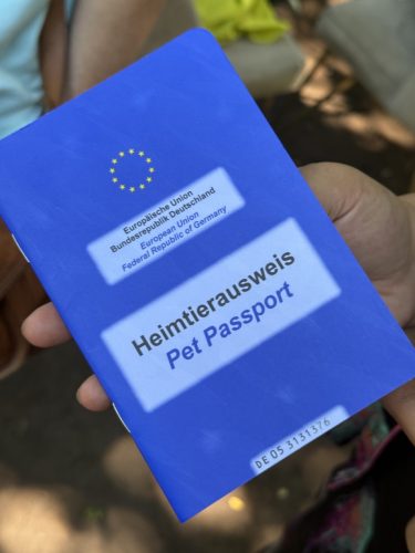Camp du Heyritz migrants sdf