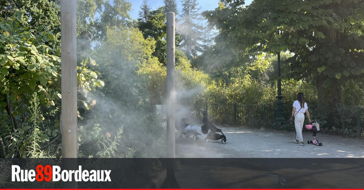 Avec 41,6°C au compteur, Bordeaux bat son record de chaleur, la vigilance rouge est maintenue 
