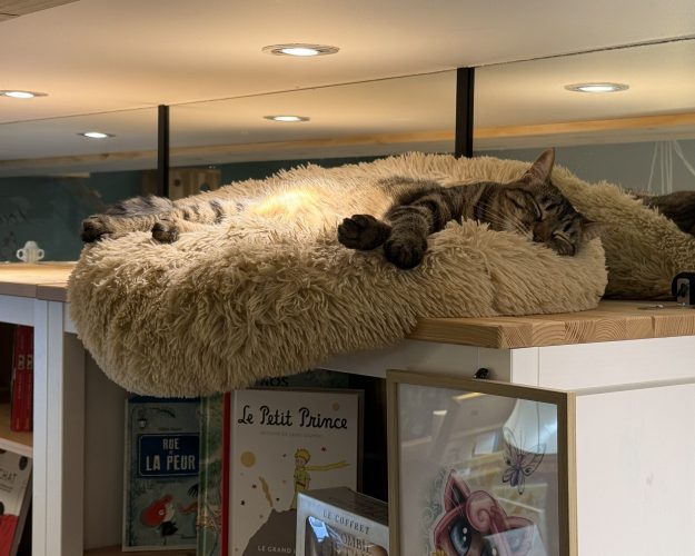 Marianne Mon Chat Pitre