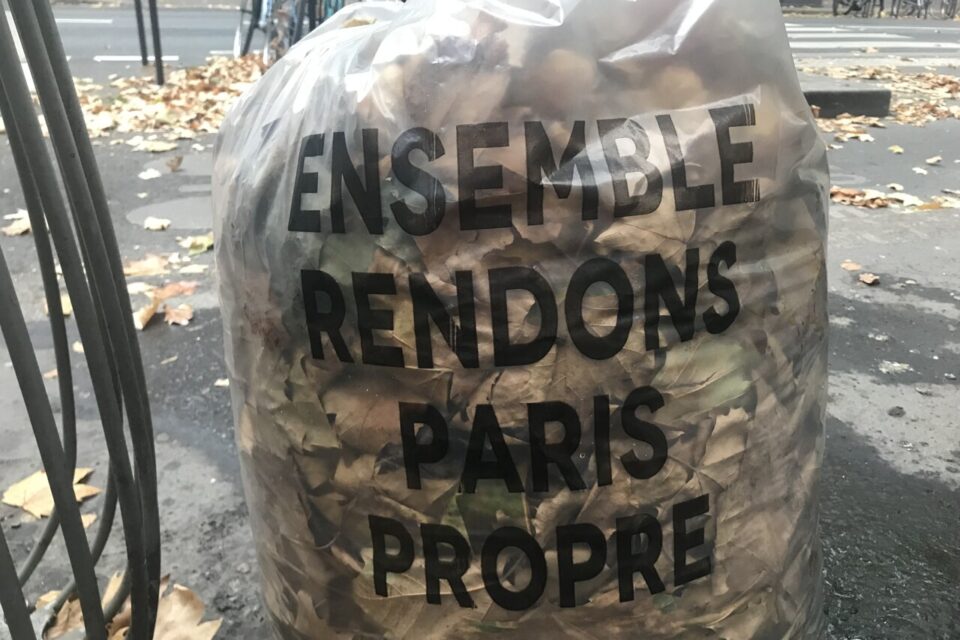 feuilles-mortes-paris-aout