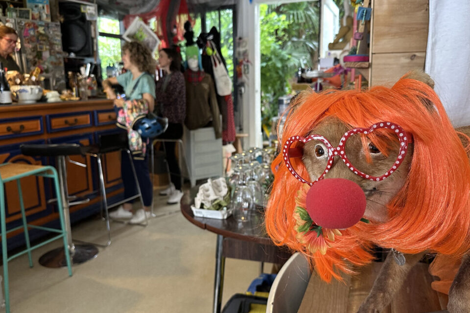 Le café de Karoline est une véritable caverne d'Ali baba où les produits régionaux sélectionnés côtoient des objets improbables.