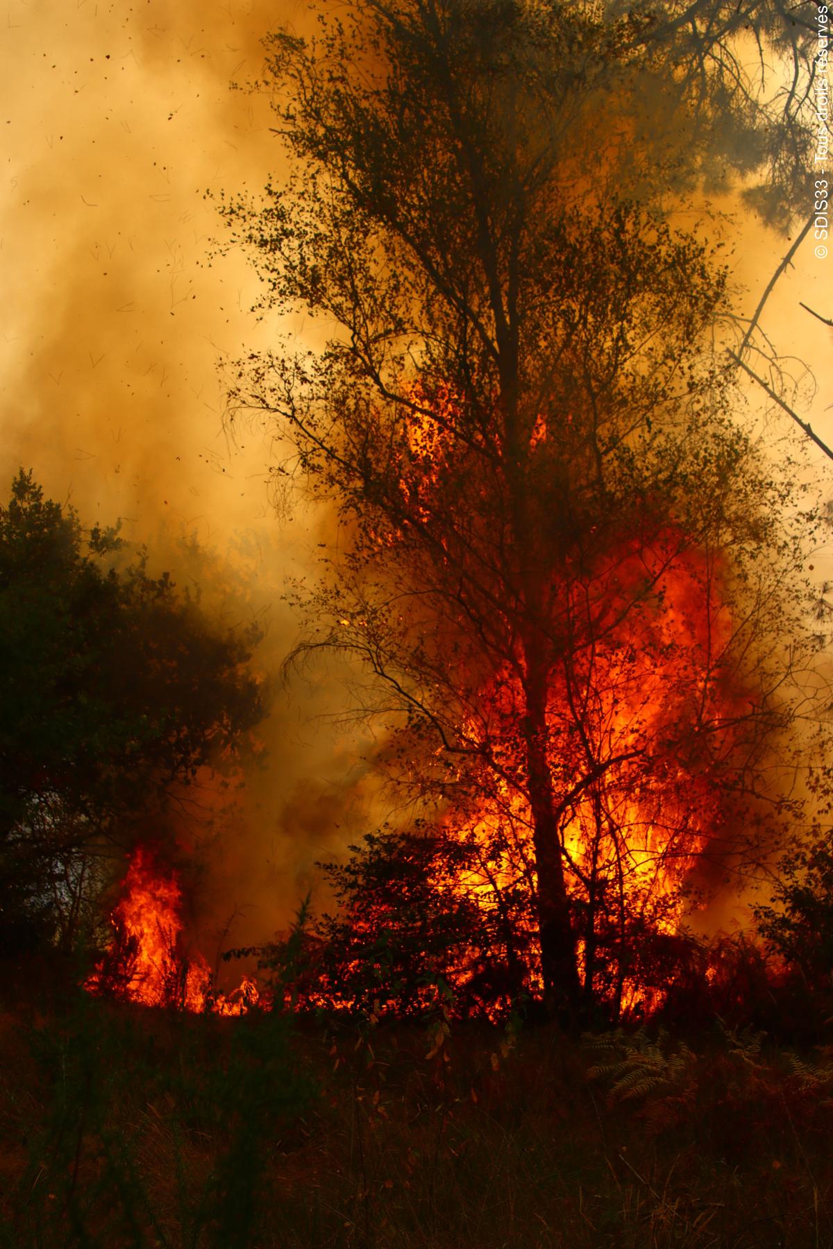 Le nombre de feux de forêt est passé de 175 en 2024 à 247 à date ; et surtout, les surfaces brûlées flambent de 34 hectares l’an dernier à 120 hectares cet été.