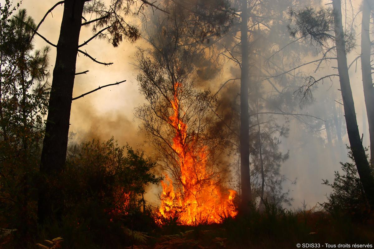 La stratégie est de mettre beaucoup de moyens dès le départ du feu.