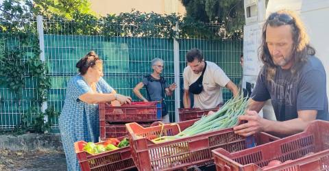 Des paniers marseillais pour une alternative bio et saine