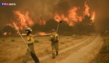 Incendies : plus d'un million d'hectares partis en fumée dans l'UE en 2025, un record