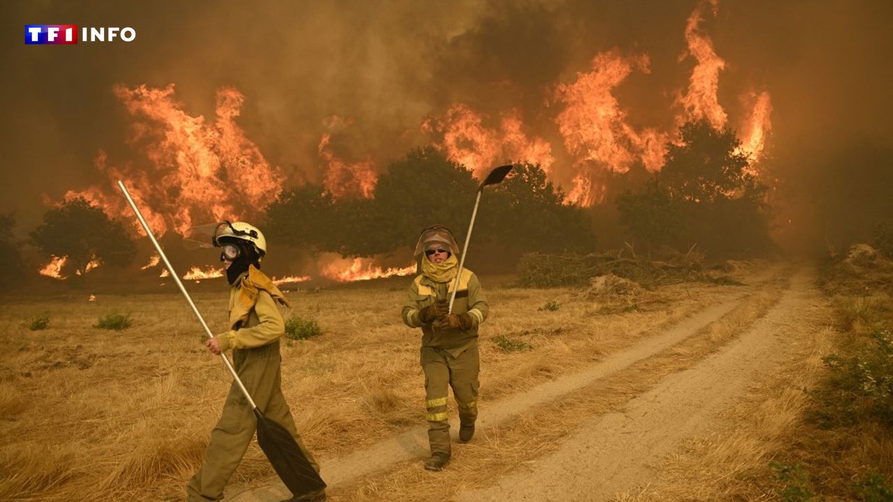 Incendies : plus d'un million d'hectares partis en fumée dans l'UE en 2025, un record