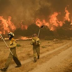 Les habitants tentent de lutter contre un incendie de forêt dans le village de Santa Baia de Montes, dans la province d'Ourense, au nord-ouest de l'Espagne, le 14 août 2025.