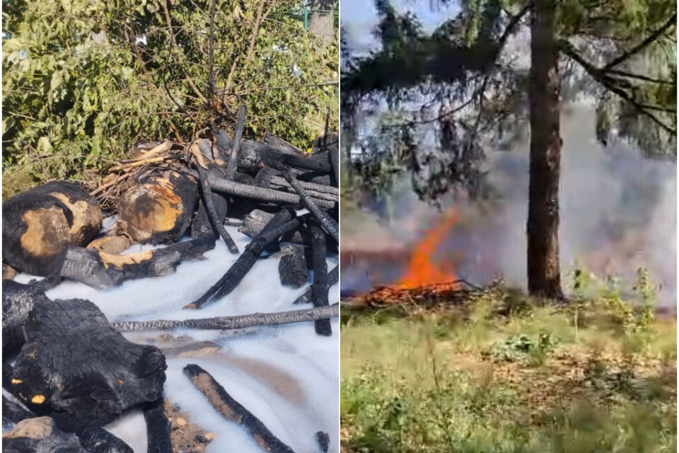 Un incendie s'est déclaré et a brûlé une partie du parc.