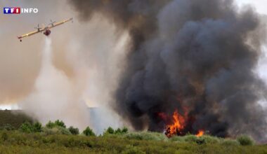 Trois morts, plusieurs régions touchées, l'UE appelée à l'aide... Des incendies d'ampleur ravagent toujours l'Espagne