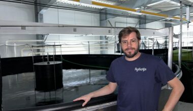 Près de Rennes, cette ferme élève des tonnes de gambas très prisées des chefs étoilés