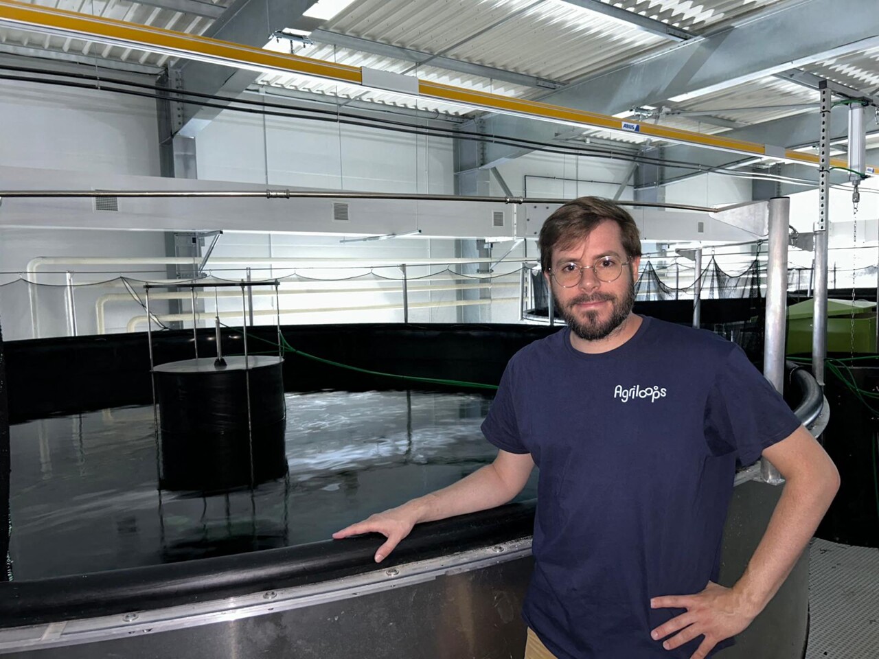 Près de Rennes, cette ferme élève des tonnes de gambas très prisées des chefs étoilés