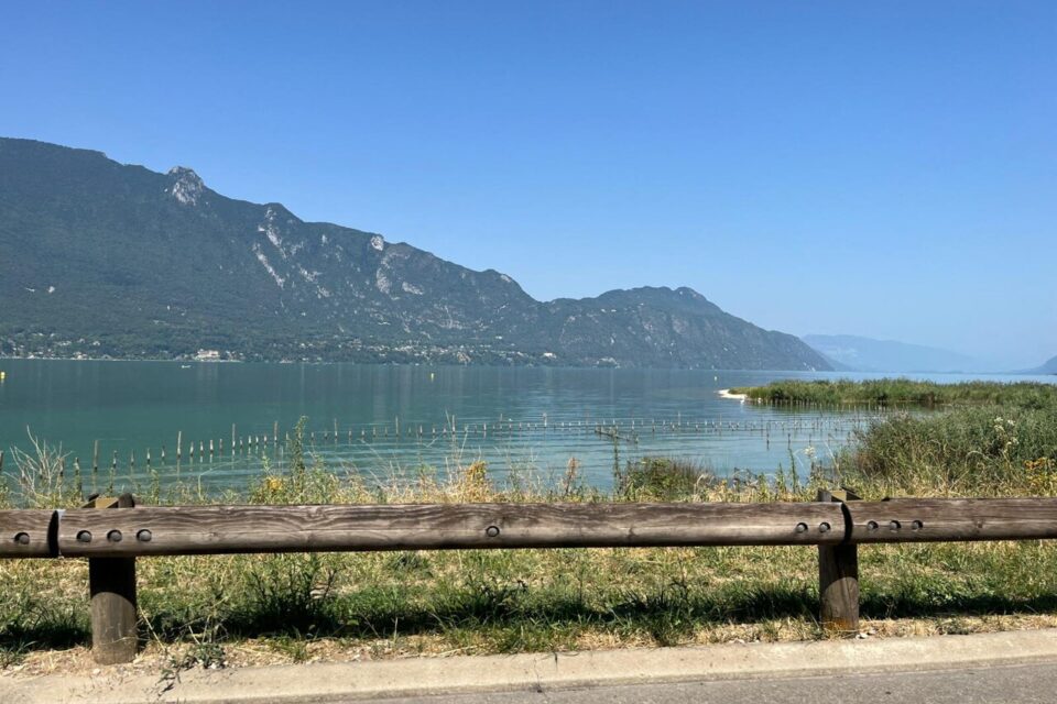 Le lac du Bourget est concerné par les cyanobactéries dans l'eau.