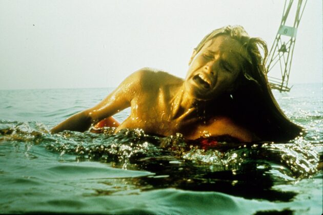 Les Dents de la mer : Photo