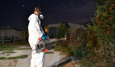 À Vitrolles, la guerre ouverte contre le moustique tigre