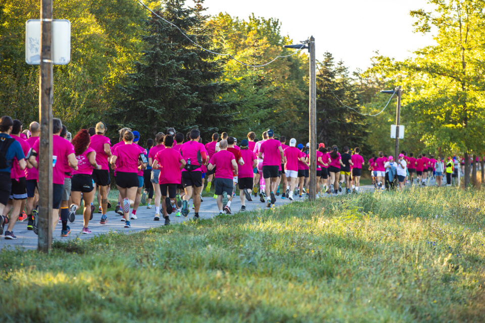 Cette course est organisée par la Ligue contre le cancer de Haute-Garonne.