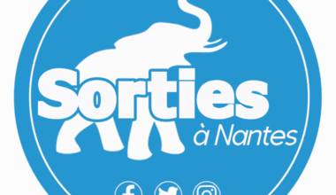 Disparition inquiétante d'une adolescente de 14 ans au CHU de Nantes
