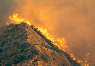 Les experts confirment : 2025 est l'année où les incendies ont ravagé le plus de surface en Espagne. Regardez les images