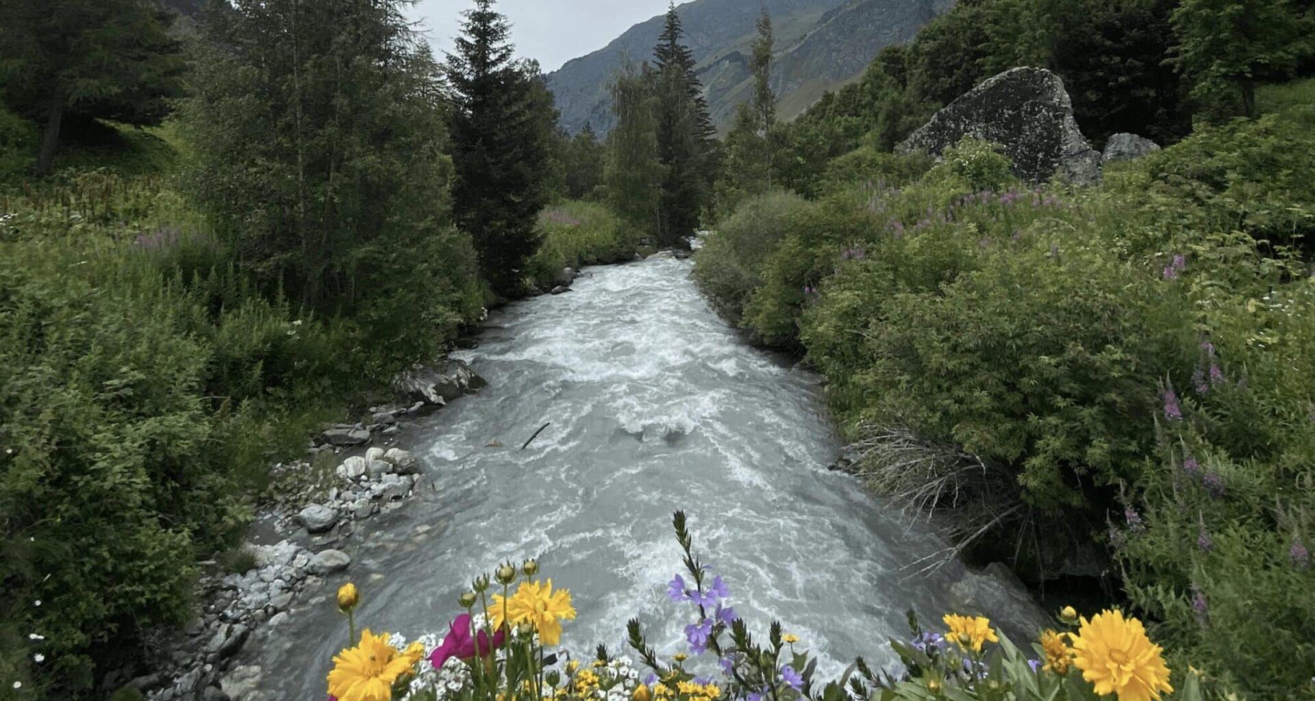 « Qualité Rivière » : une nouvelle application pour explorer les cours d’eau en Auvergne-Rhône-Alpes