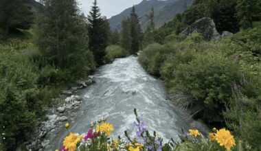« Qualité Rivière » : une nouvelle application pour explorer les cours d’eau en Auvergne-Rhône-Alpes