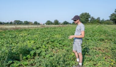 La Métropole de Lyon crée sa première ferme en régie agricole à Chassieu