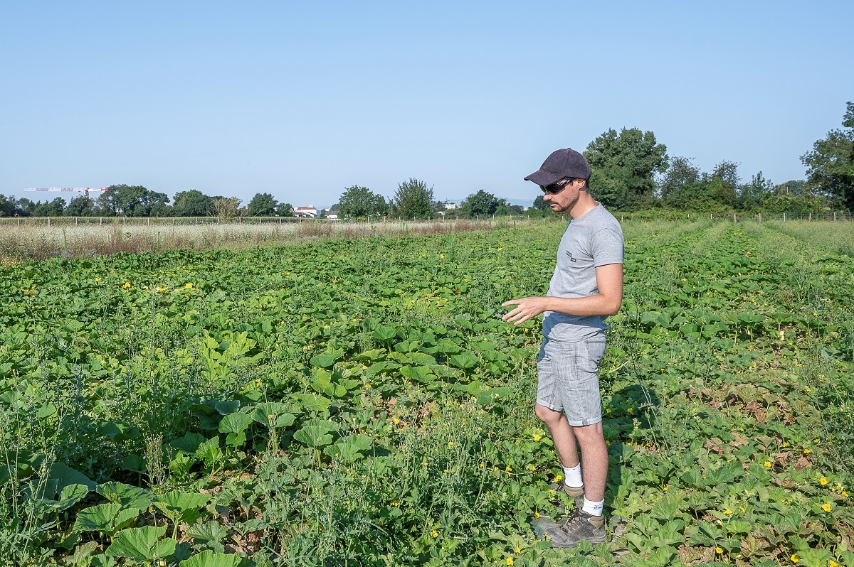 La Métropole de Lyon crée sa première ferme en régie agricole à Chassieu